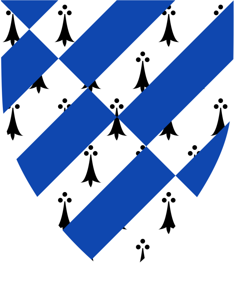 Shield image