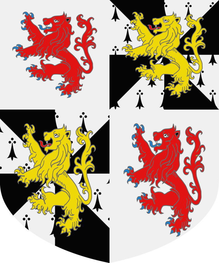 Shield image