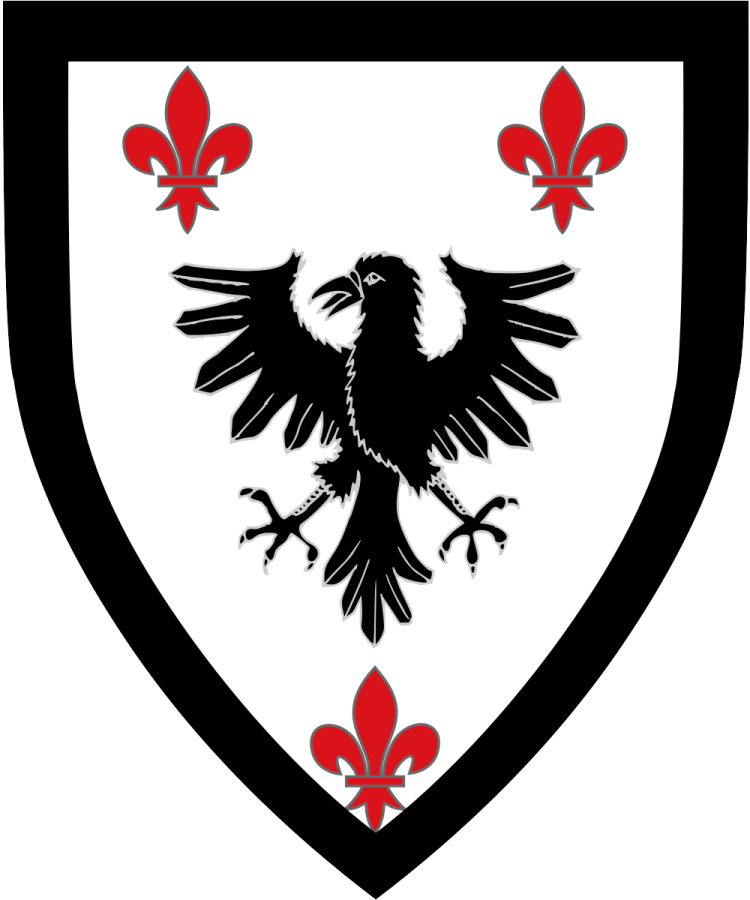 Shield image