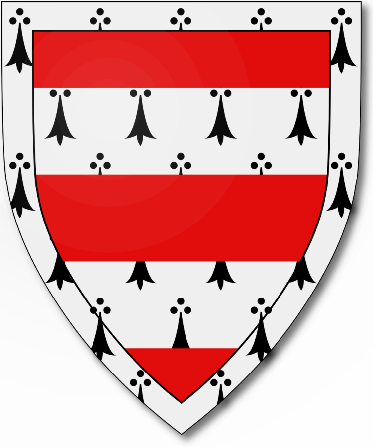 Shield image