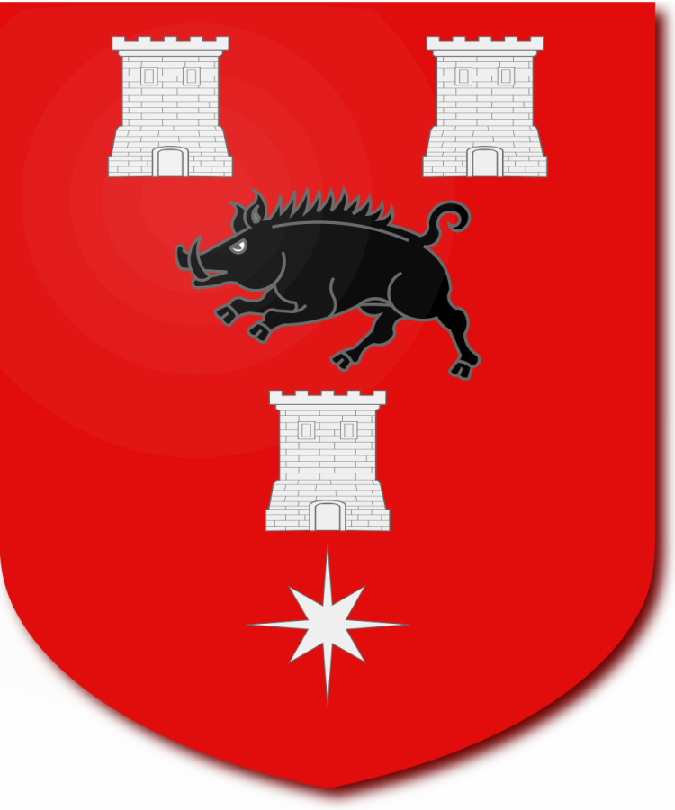 Shield image