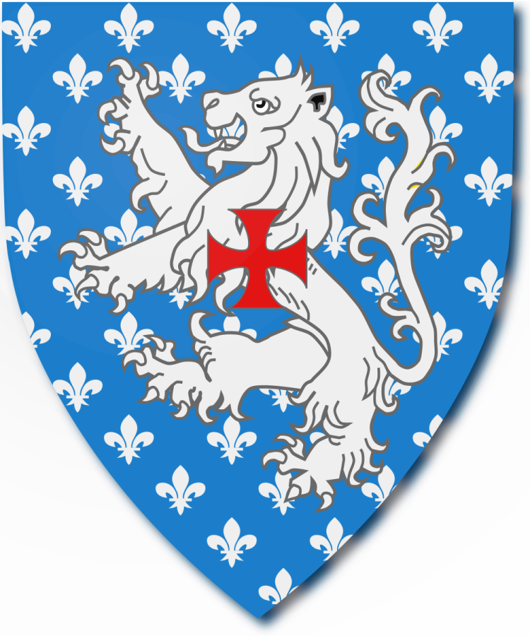 Shield image