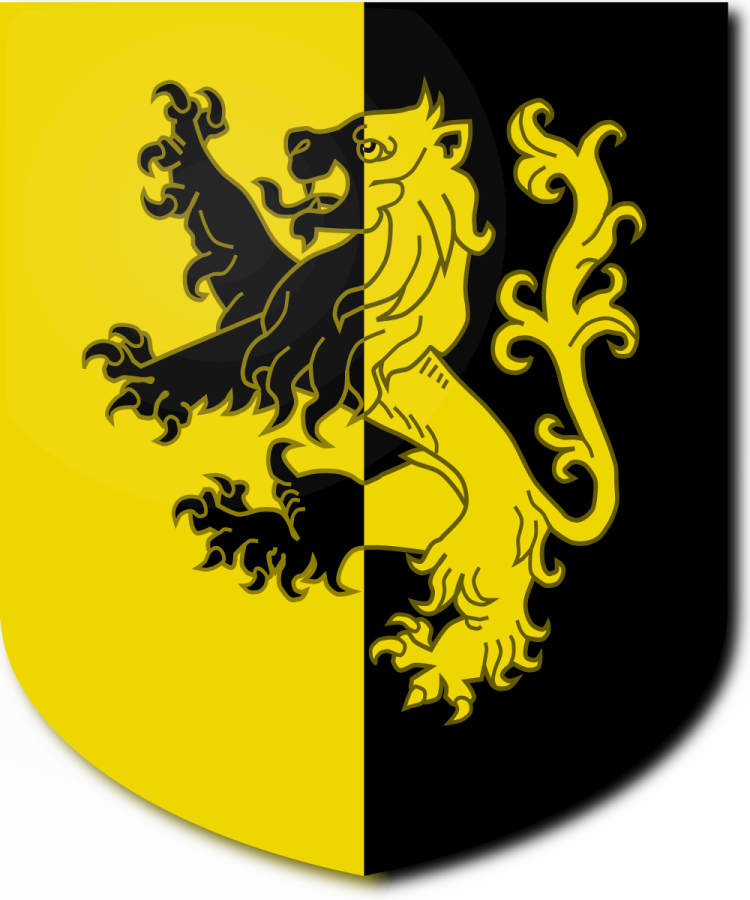 Shield image