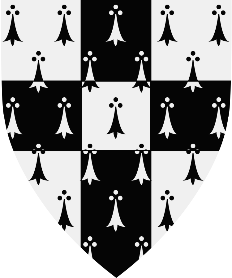 Shield image