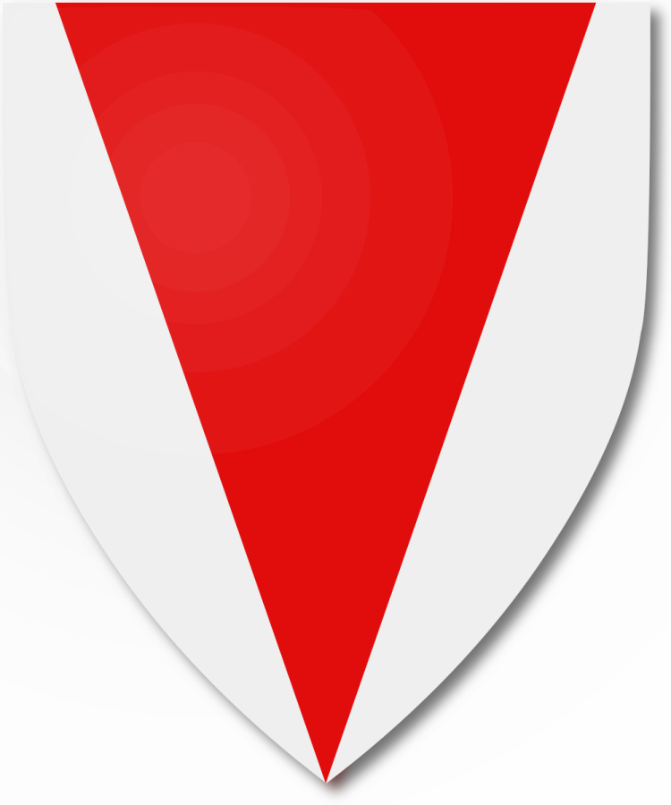 Shield image