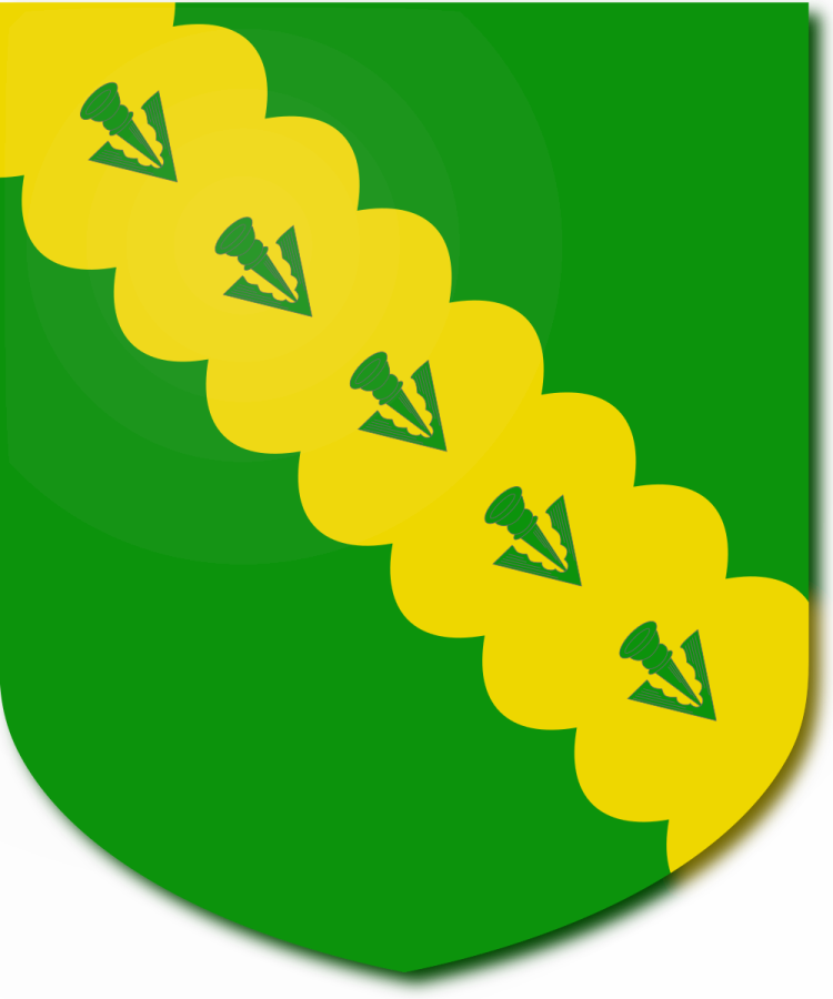 Shield image