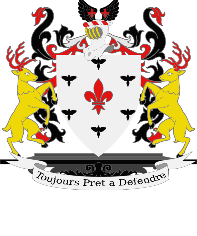 Shield image