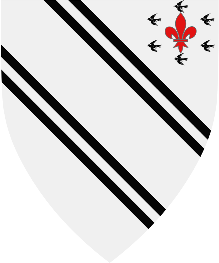 Shield image