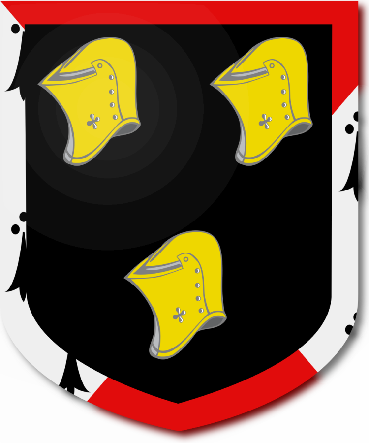 Shield image