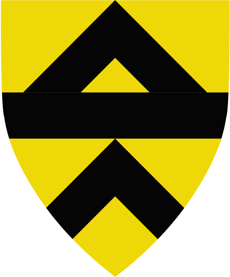 Shield image