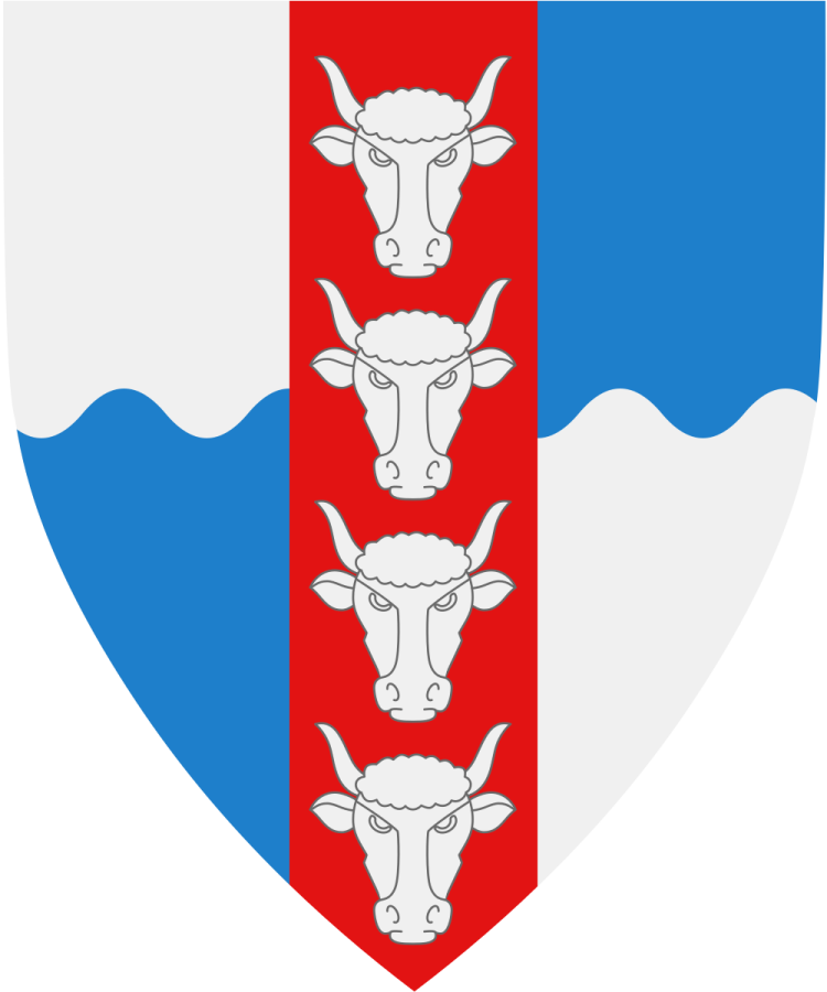 Shield image