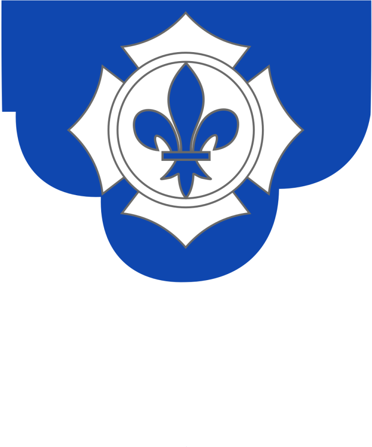 Shield image