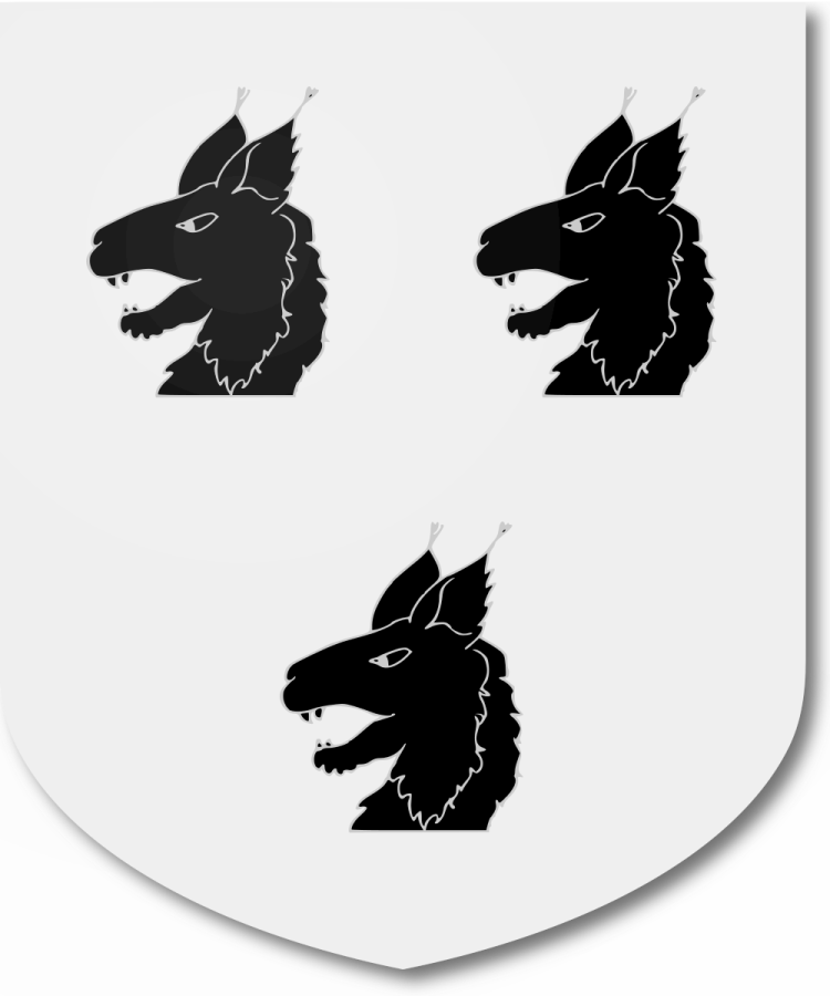 Shield image