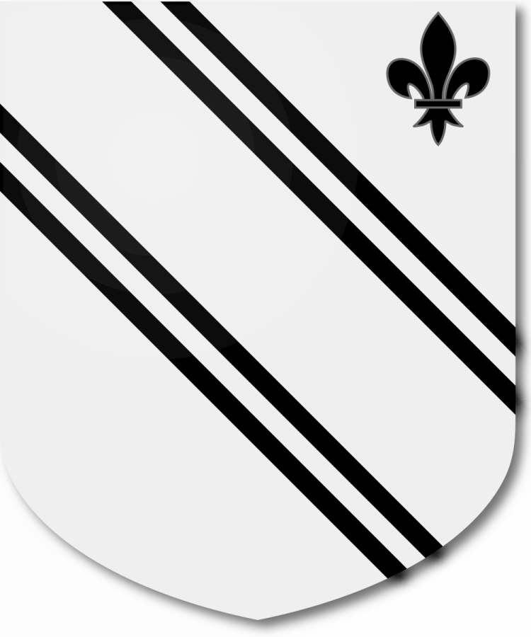 Shield image