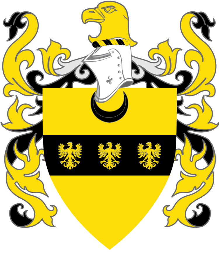 Shield image