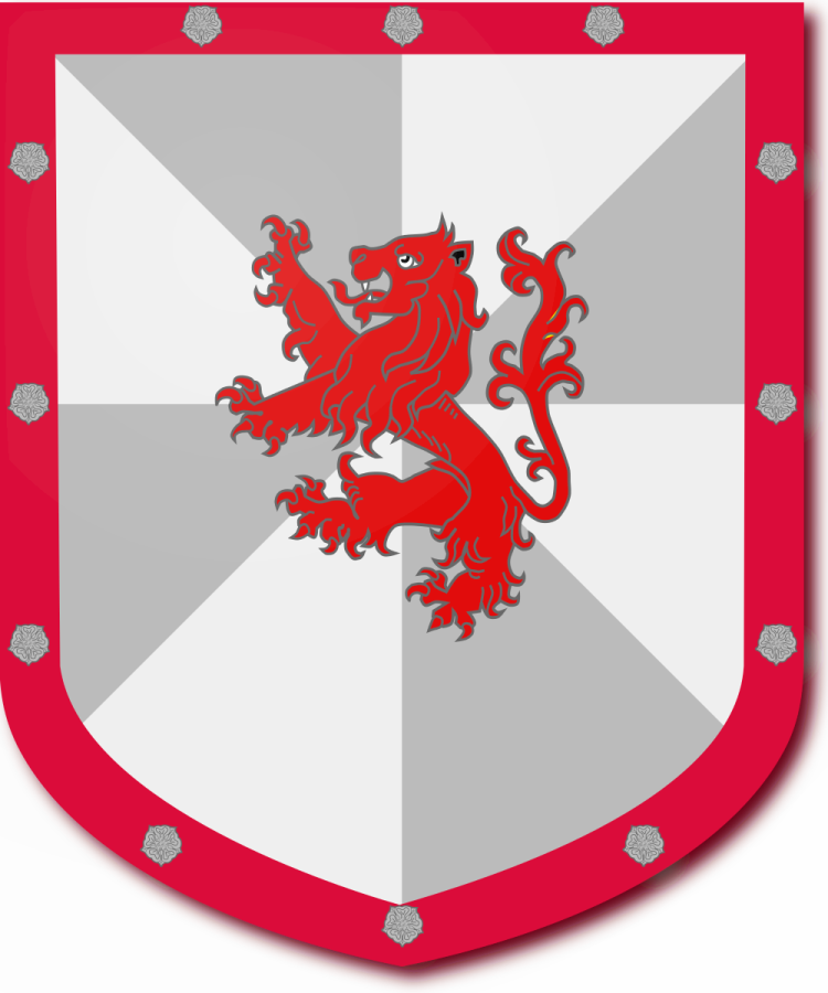 Shield image