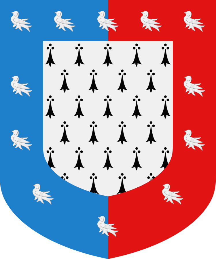 Shield image