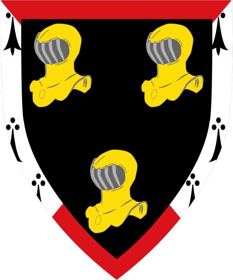 Shield image