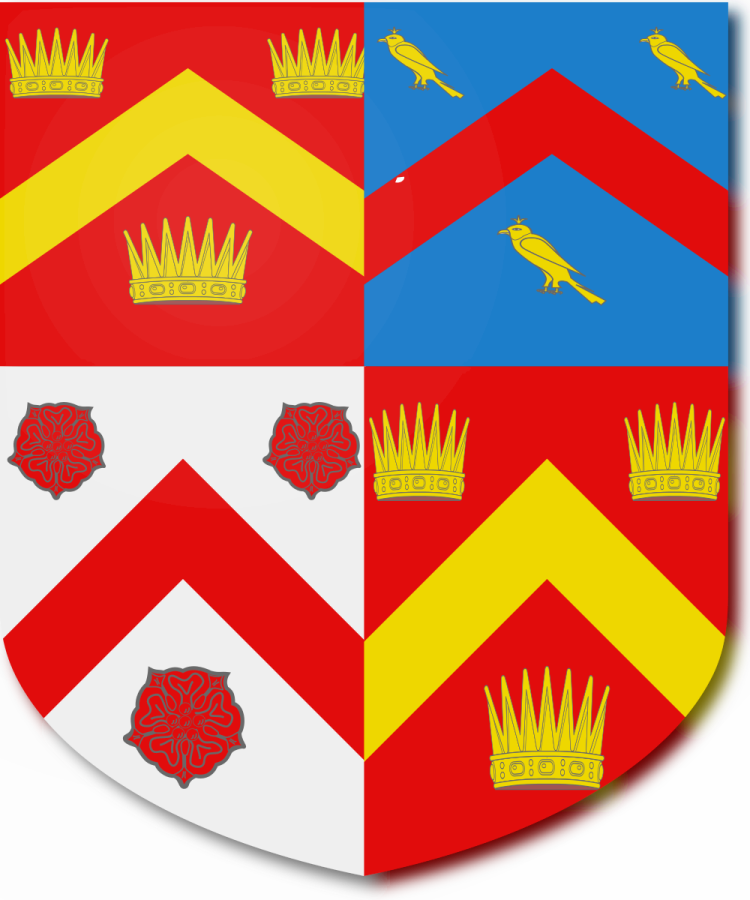 Shield image