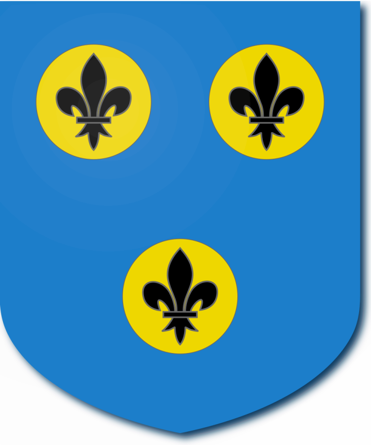 Shield image