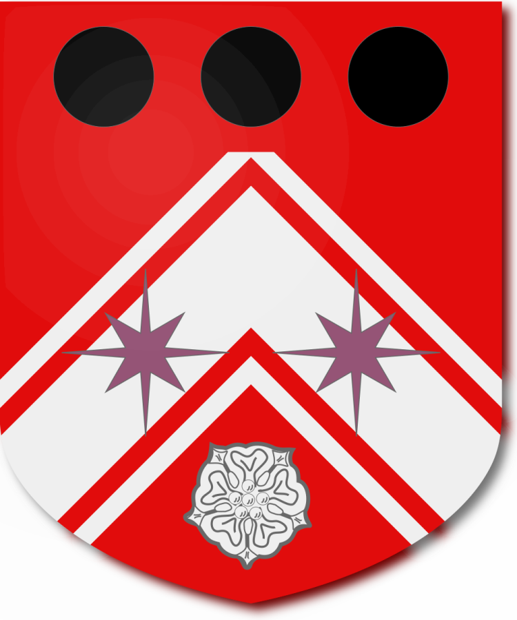 Shield image