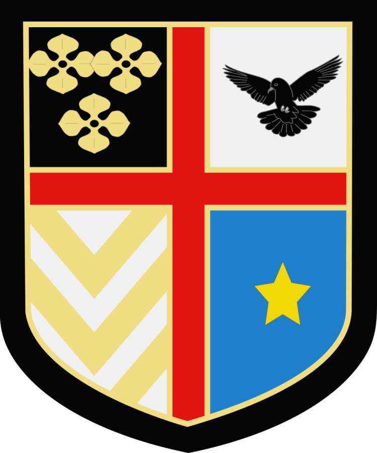 Shield image