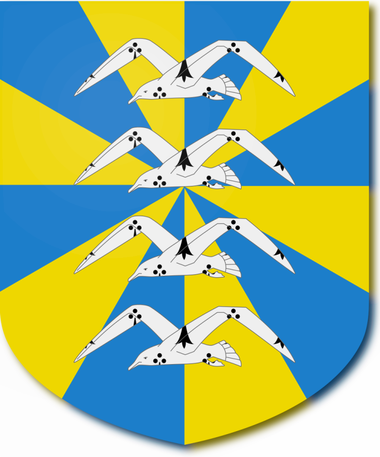 Shield image