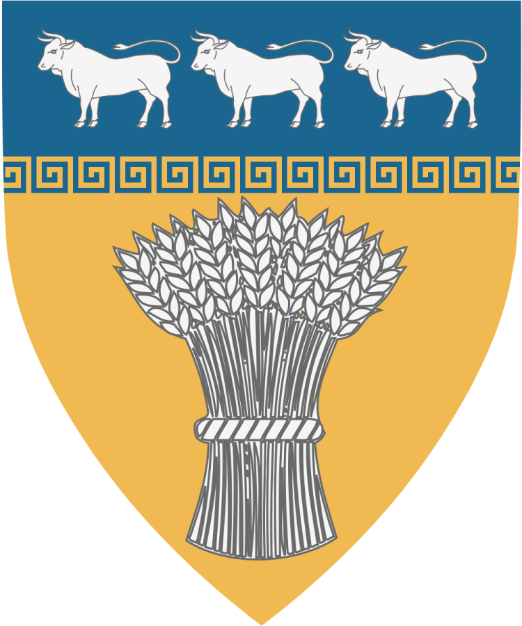 Shield image