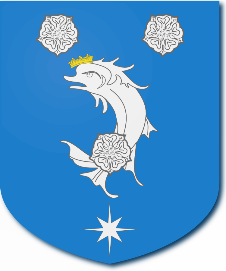 Shield image