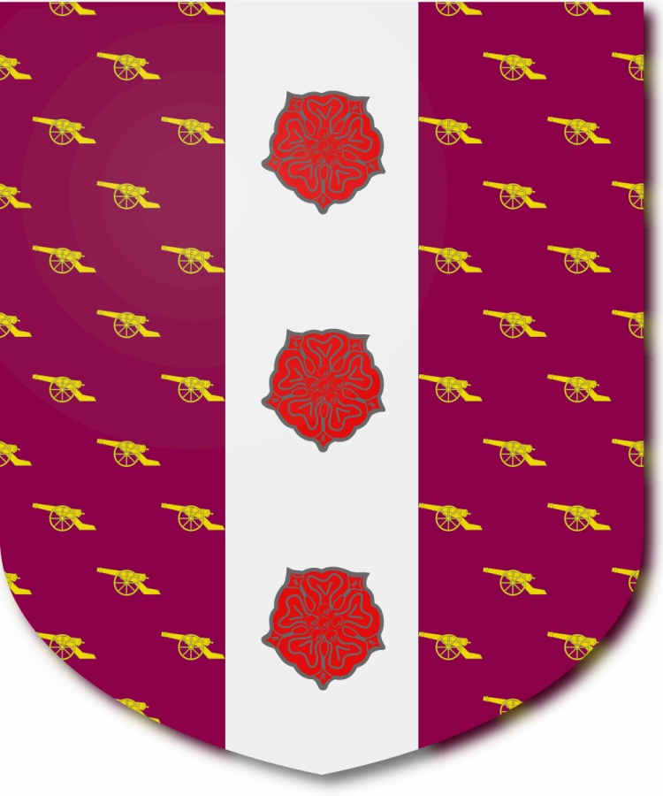 Shield image