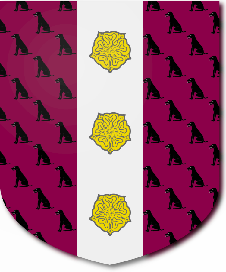 Shield image