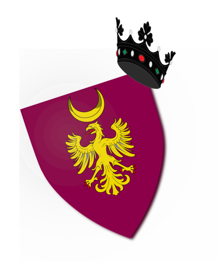 Shield image