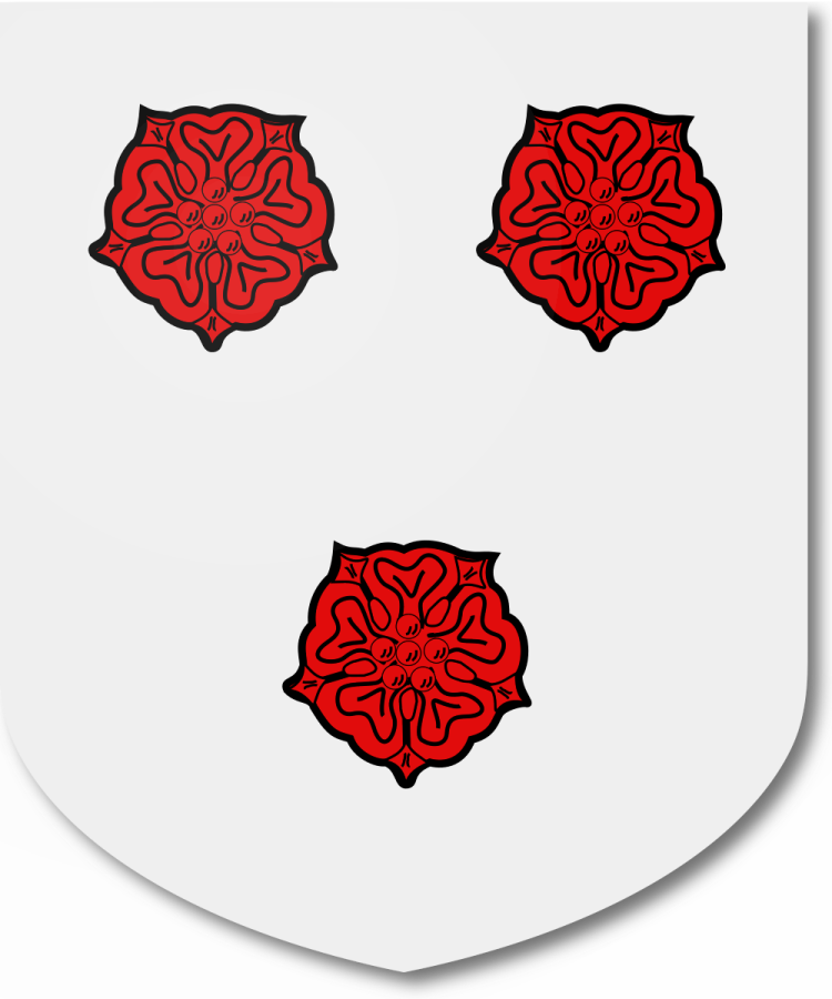 Shield image