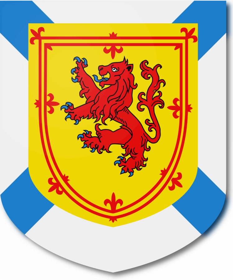 Shield image