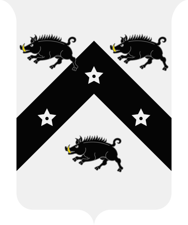 Shield image