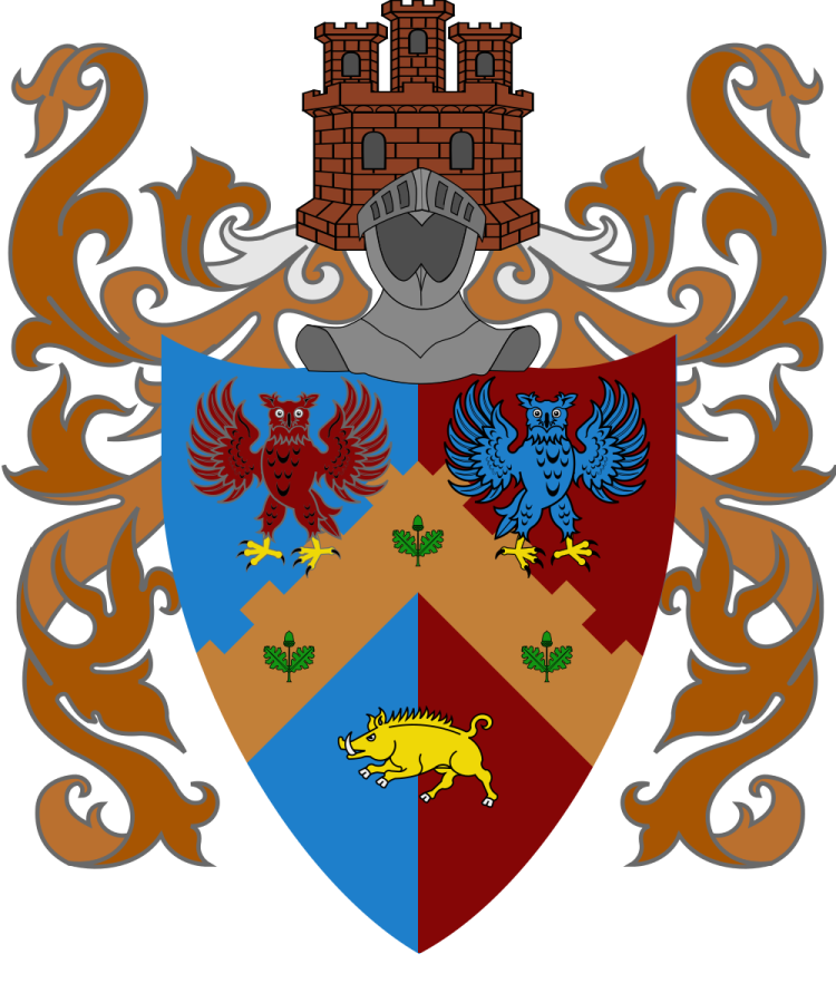 Shield image