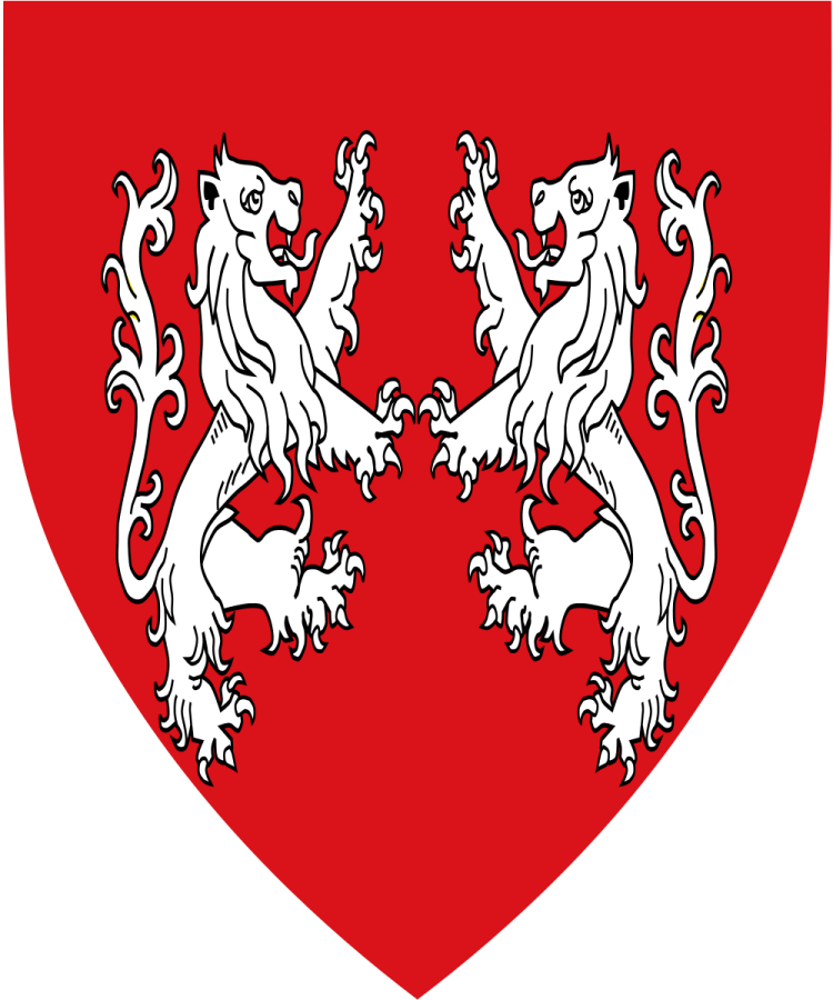 Shield image