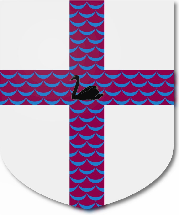 Shield image