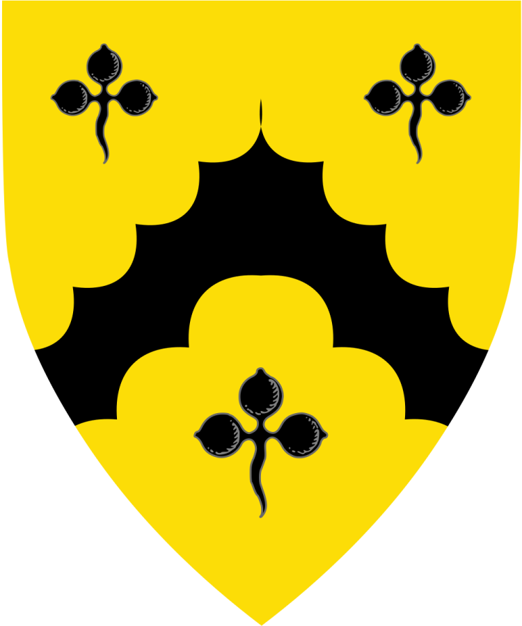 Shield image