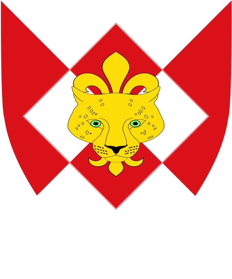 Shield image