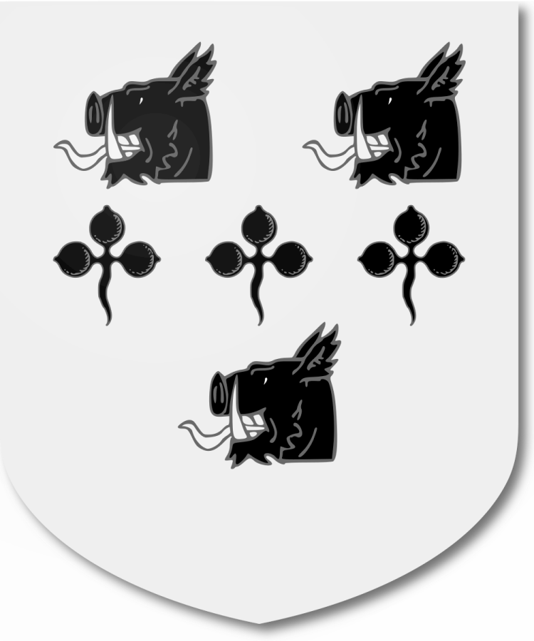 Shield image