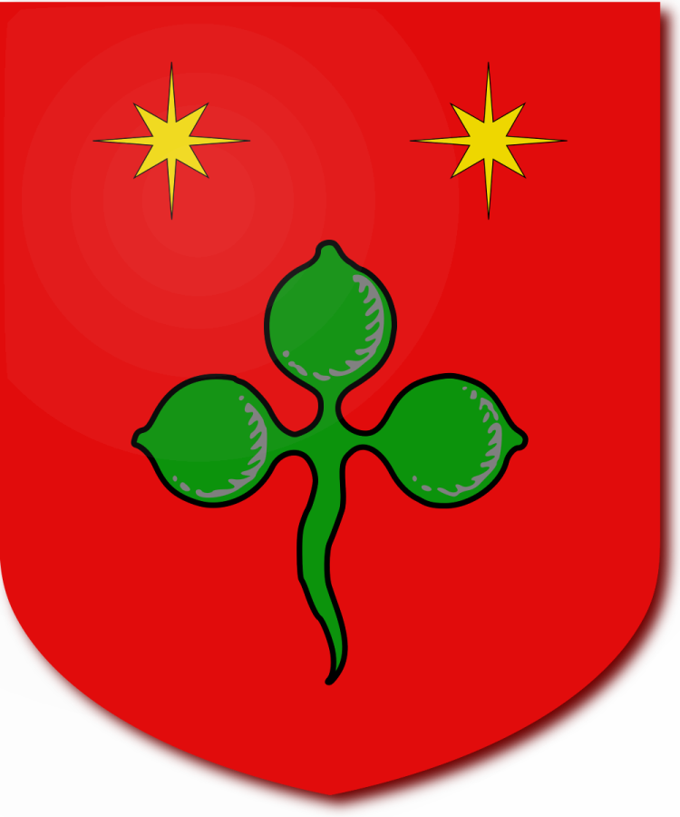 Shield image