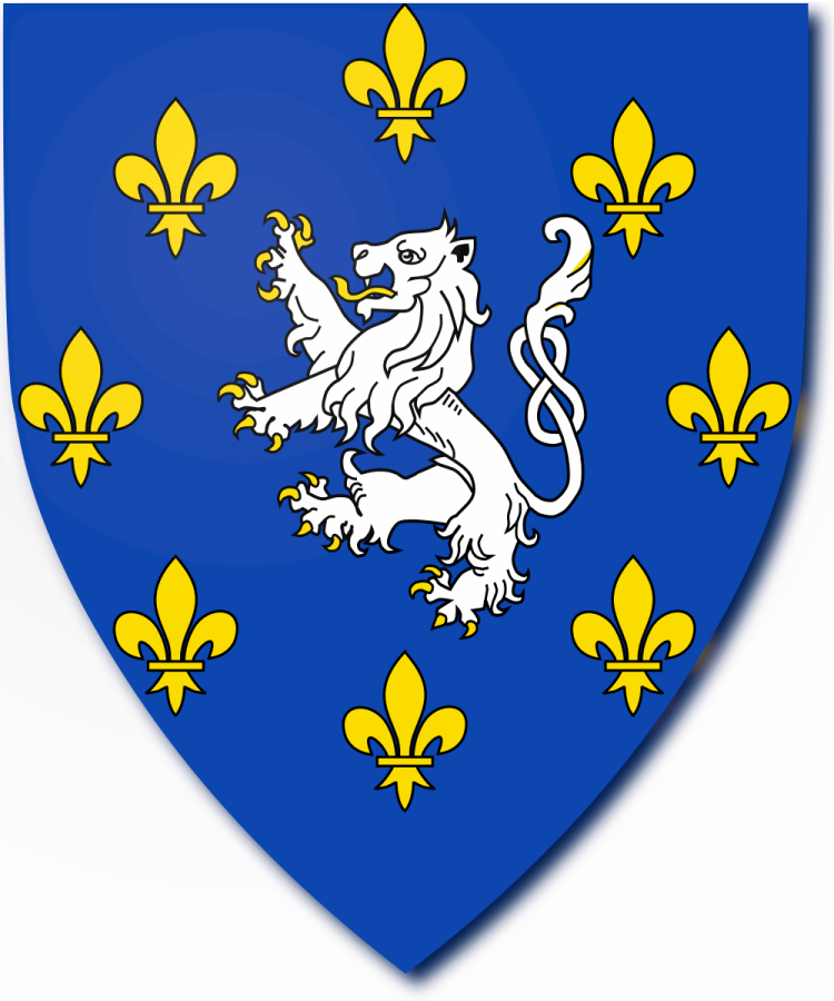 Shield image