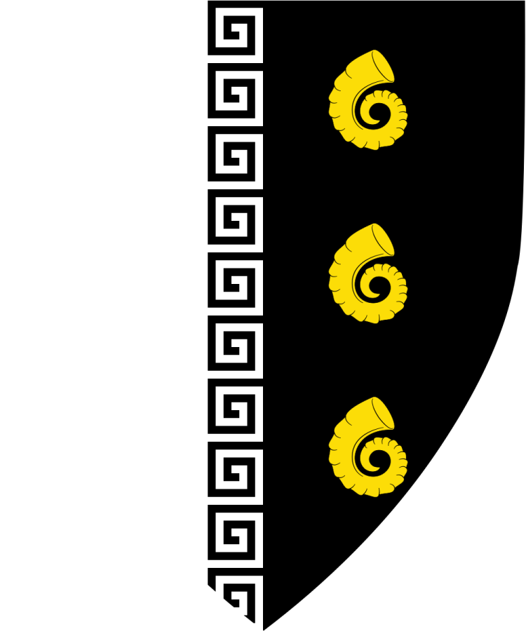 Shield image