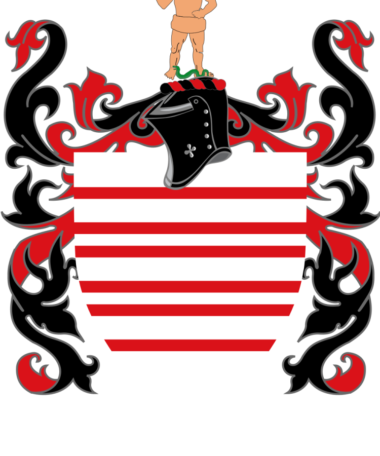 Shield image