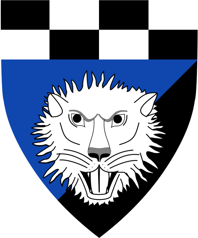 Shield image