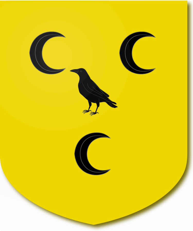 Shield image