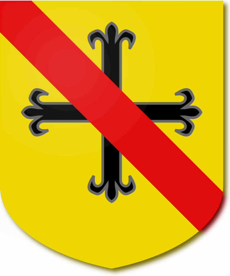 Shield image