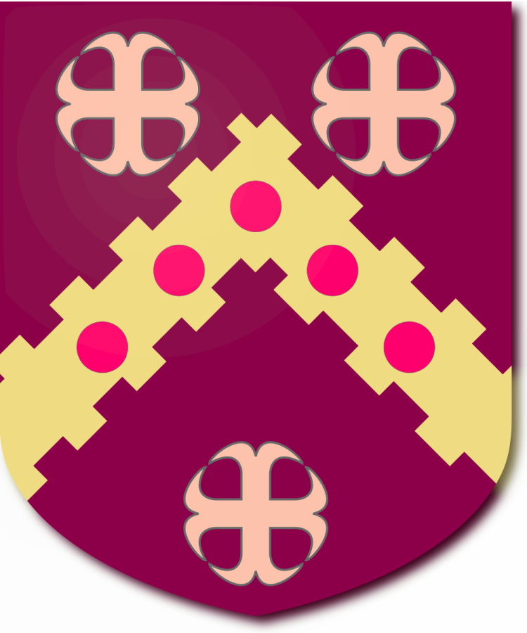 Shield image