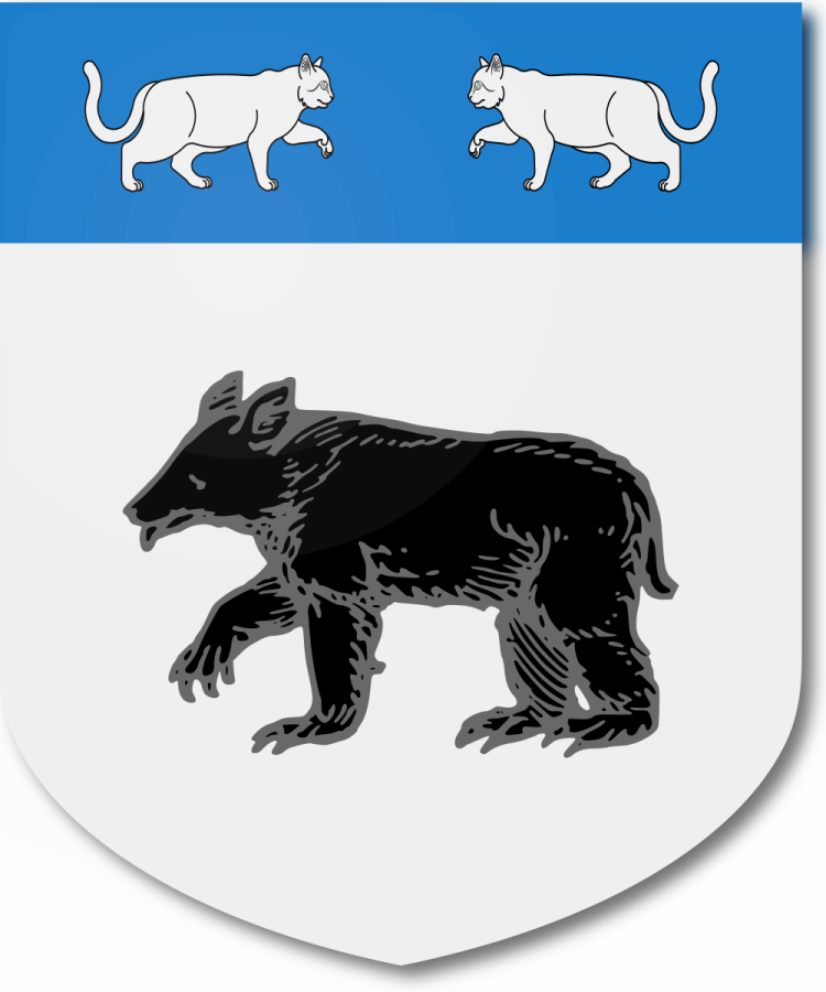 Shield image